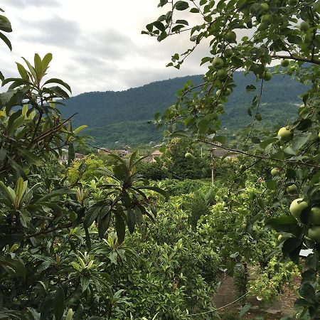 Guest House Mushmula New Athos Εξωτερικό φωτογραφία