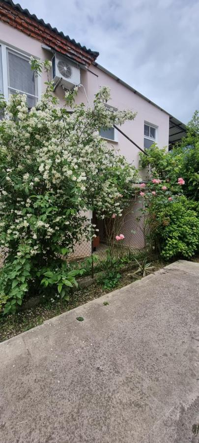 Guest House Mushmula New Athos Εξωτερικό φωτογραφία