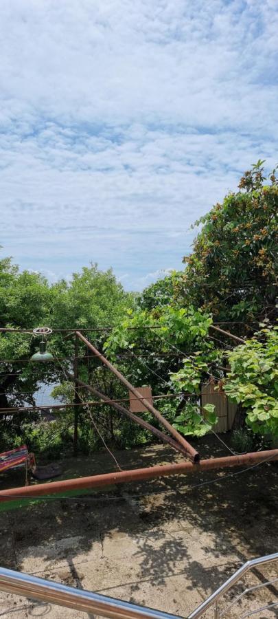 Guest House Mushmula New Athos Εξωτερικό φωτογραφία